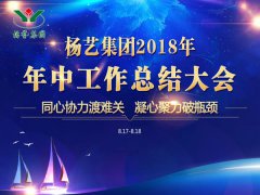 沐鸣集团2018年中总结报告（摘要）