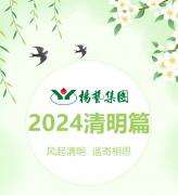 风起清明 遥寄相思|沐鸣集团?2024清明篇